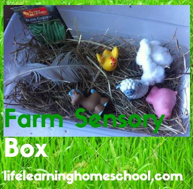 Farm Sensory Box